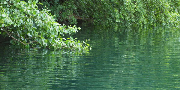 Titel Titel Titel Titel Titel Titel Titel Titel Titel Titel